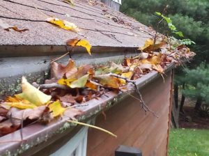clogged gutters in charlotte