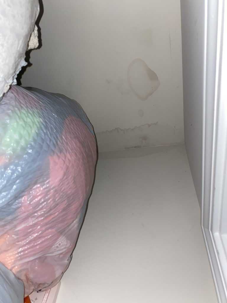 Roof Leak in Residential Home