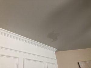 Roof Leak Repairs 