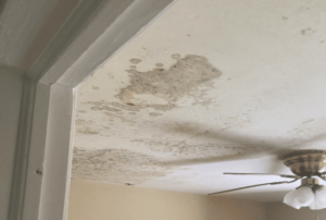 Ceiling Mold by Roof Leak