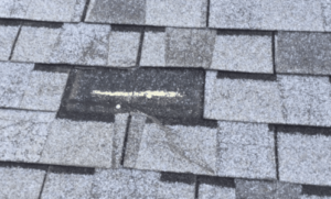 Damaged Roof Shingle 