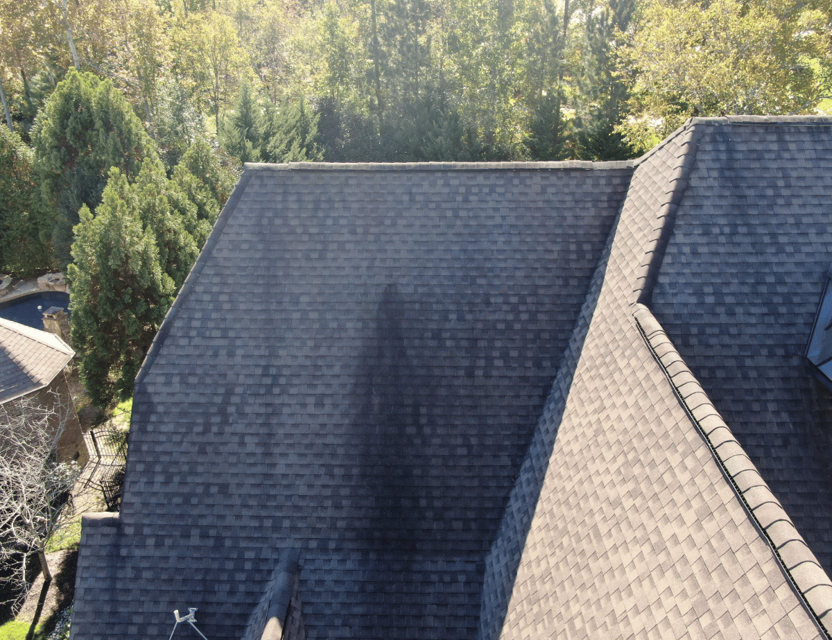 How to Clean & Prevent Algae on Your Roof