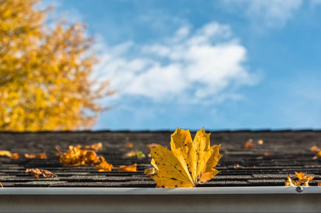 roof-during-the-fall-in-need-of-a-tune-up