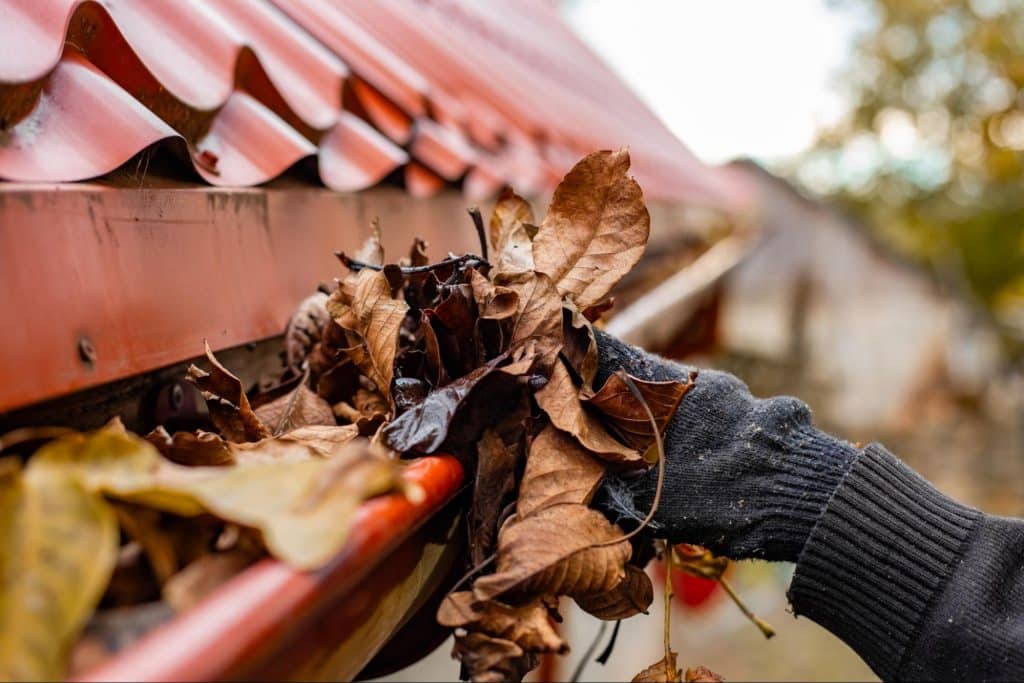 gutters-being-cleaned