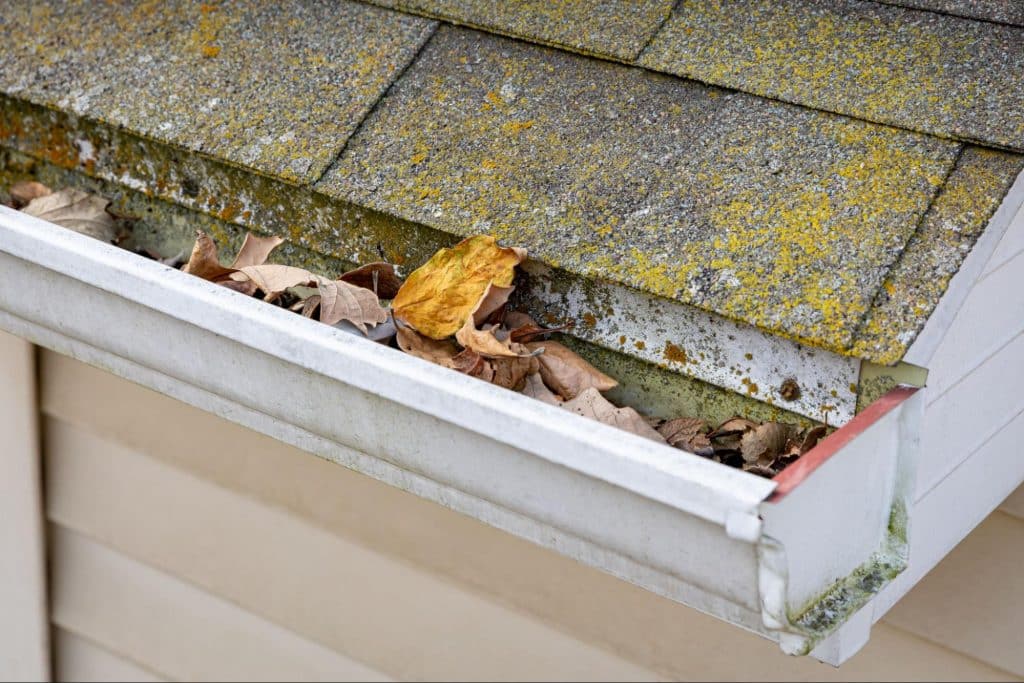 pollen-on-roofs-clogging-Carolina-gutters