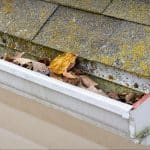 pollen-on-roofs-clogging-Carolina-gutters